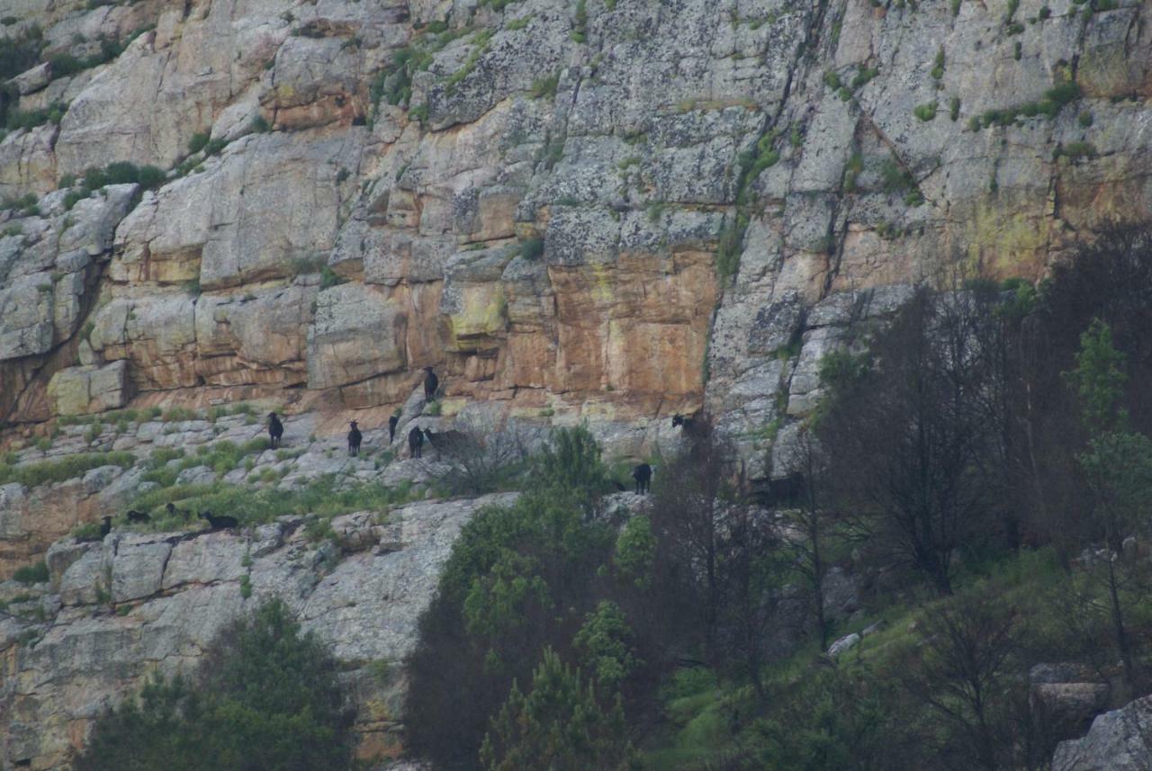 Monte Do Pego Villa Arneiro  Eksteriør billede